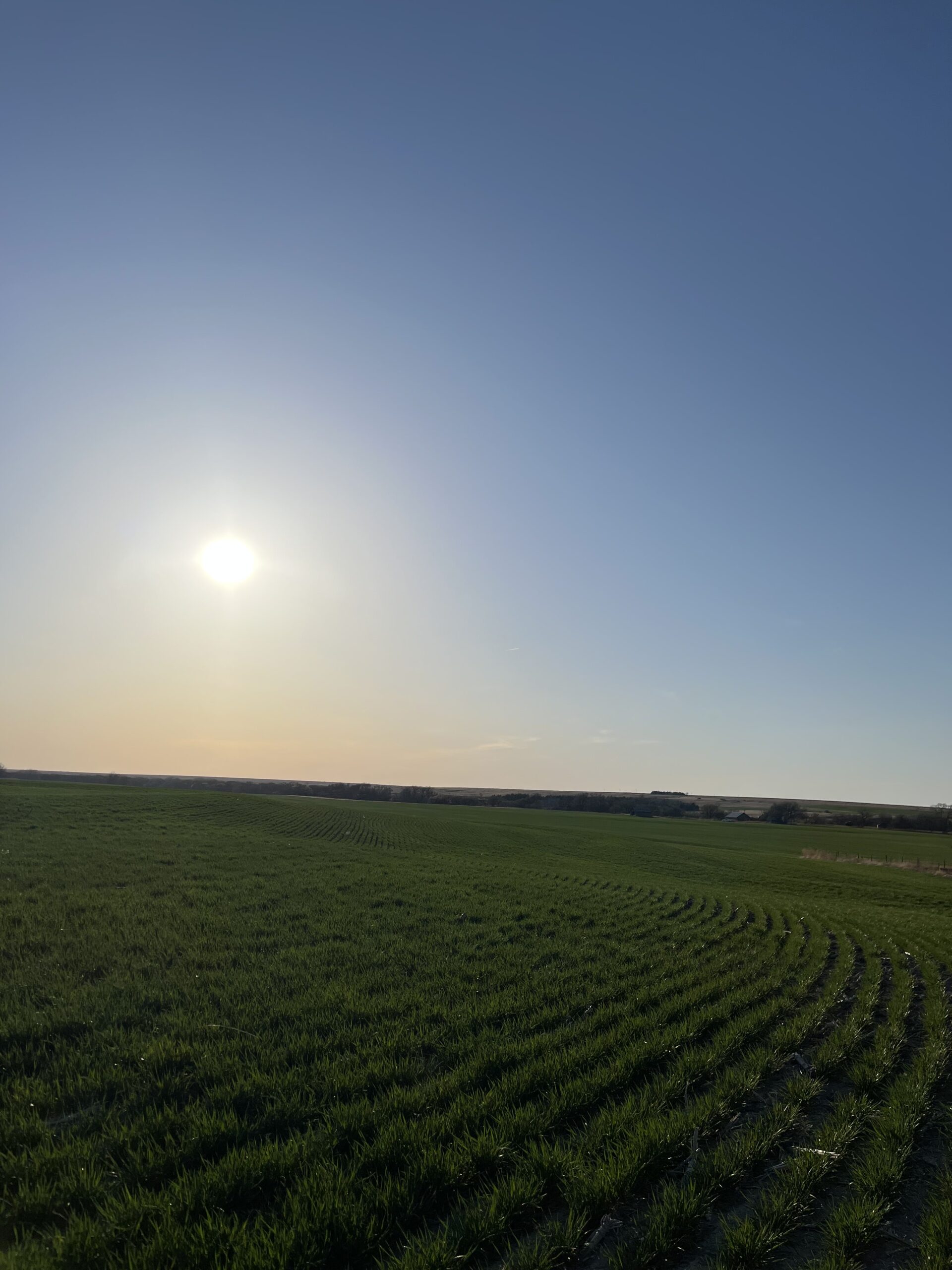 January 2025 Climate Summary